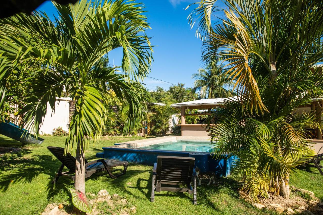 Gipsy Ranch Rooms Cabarete ภายนอก รูปภาพ