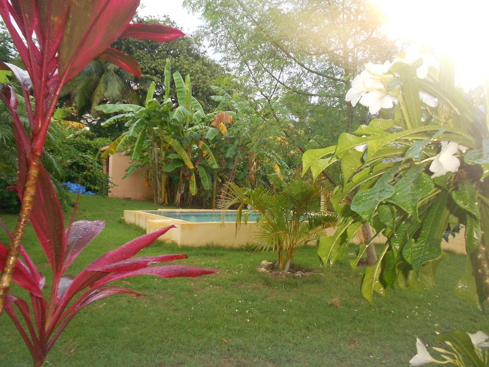 Gipsy Ranch Rooms Cabarete ภายนอก รูปภาพ